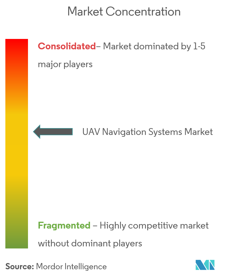 UAV Navigation Systems Market Concentration